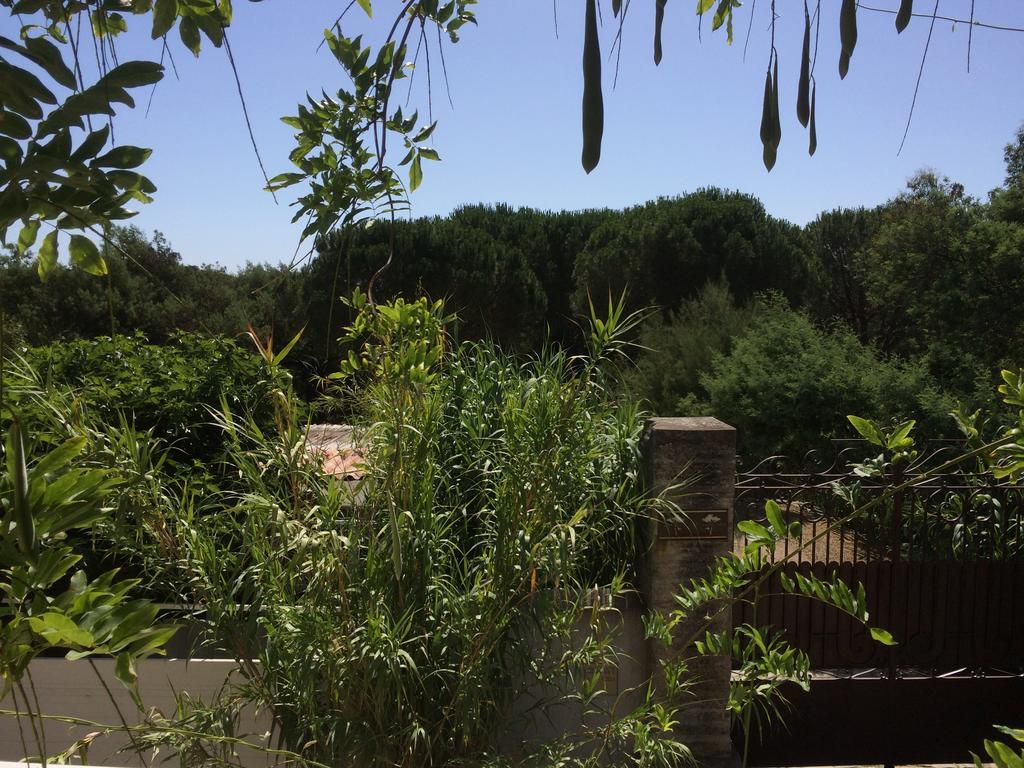 Maison D'Elie Saint-Tropez Zewnętrze zdjęcie